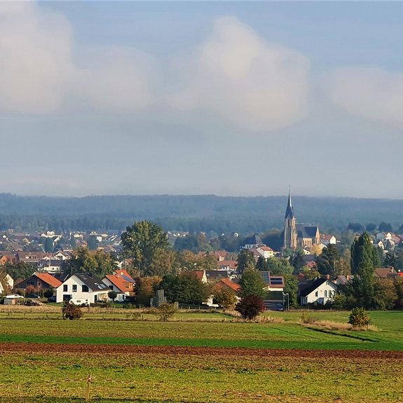Landschaftsaufnahme mit Blick auf den Ort Saarwellingen